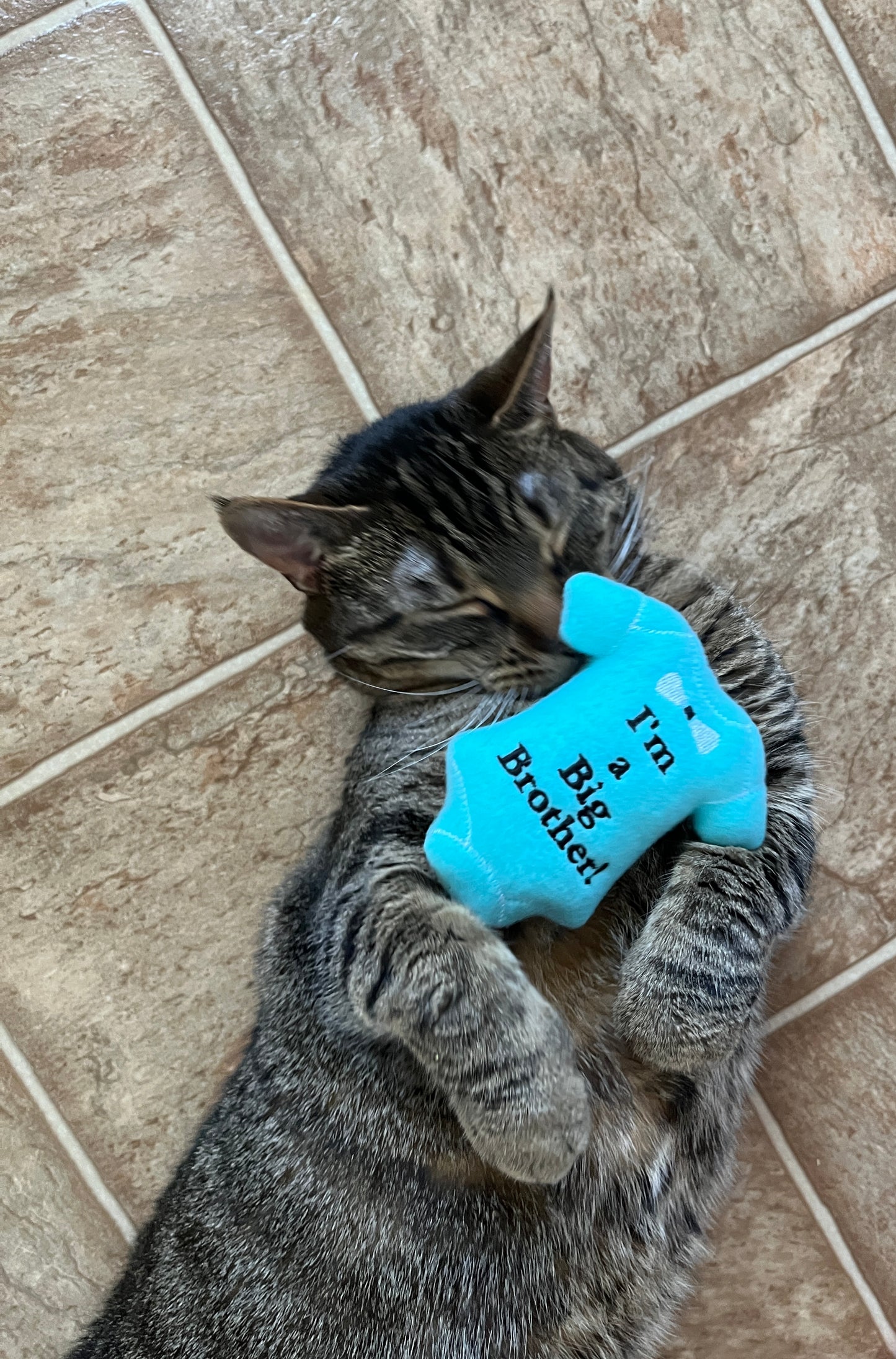 Baby Custom Cat Toy- Pregnancy Announcement, Gender Reveal Personalized Catnip Toy