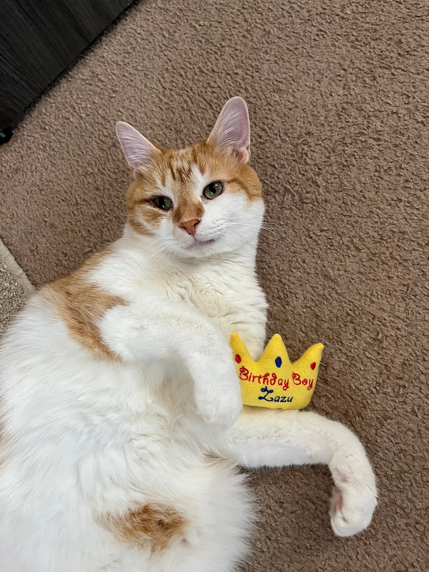 Birthday Crown Custom Cat Toy- Personalized Gotcha Day Catnip Toy