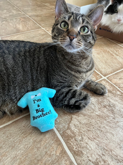 Baby Custom Cat Toy- Pregnancy Announcement, Gender Reveal Personalized Catnip Toy