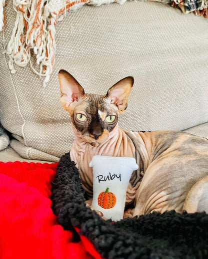 Coffee Cat Custom Toy- Personalized Catnip Toy