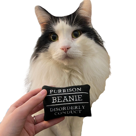 Prison Name Board Custom Cat Toy - Personalized Catnip Toy Cat Toys   