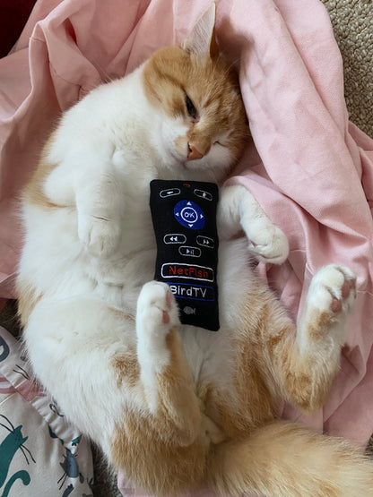 Remote Control Cat Toy - TV Remote Catnip Toy Cat Toys   