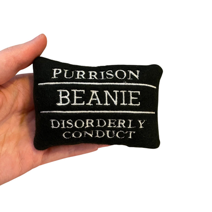 Prison Name Board Custom Cat Toy - Personalized Catnip Toy Cat Toys Disorderly Conduct  