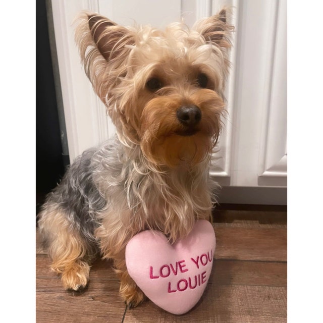 Conversation Heart Custom Dog Toy - Personalized Squeaky Toy Dog Toys   