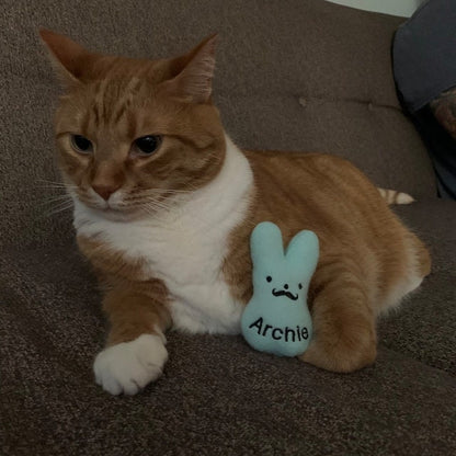 Peep Bunny Custom Cat Toy- Personalized Easter Catnip Toy Cat Toys   