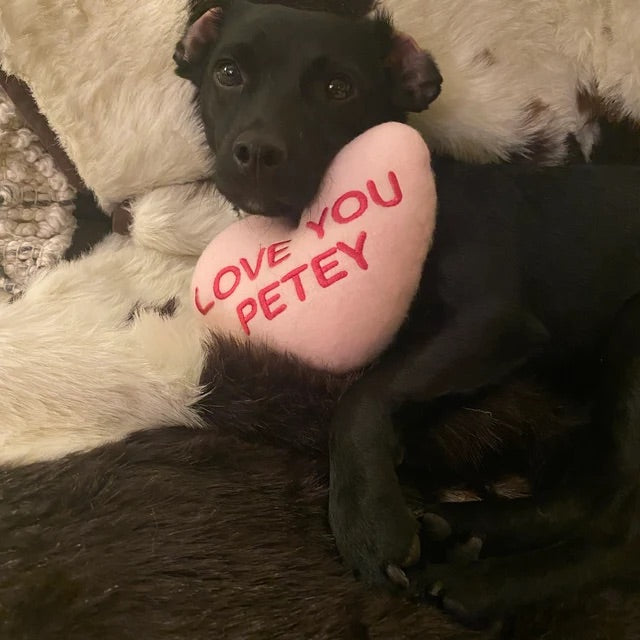 Valentine's Day Dog Toys