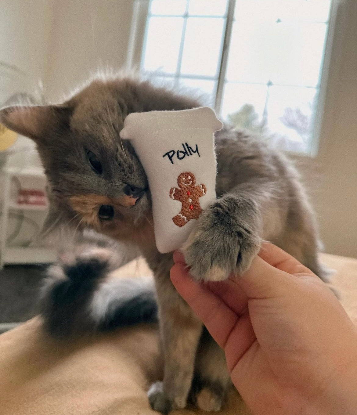 Coffee Cat Custom Toy- Personalized Catnip Toy Cat Toys   