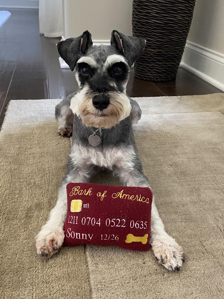Credit Card Custom Dog Toy- Personalized Squeaky Toy – Debra