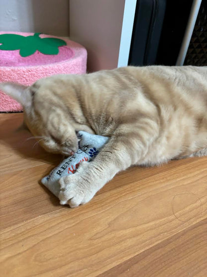 Rent Check Custom Cat Toy- Personalized Catnip Toy