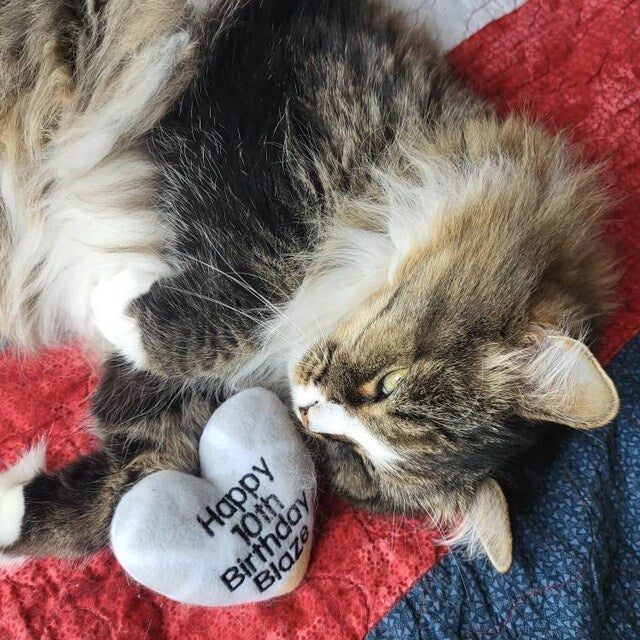 Birthday Heart Custom Cat Toy-  Personalized Gotcha Day Catnip Toy Cat Toys   