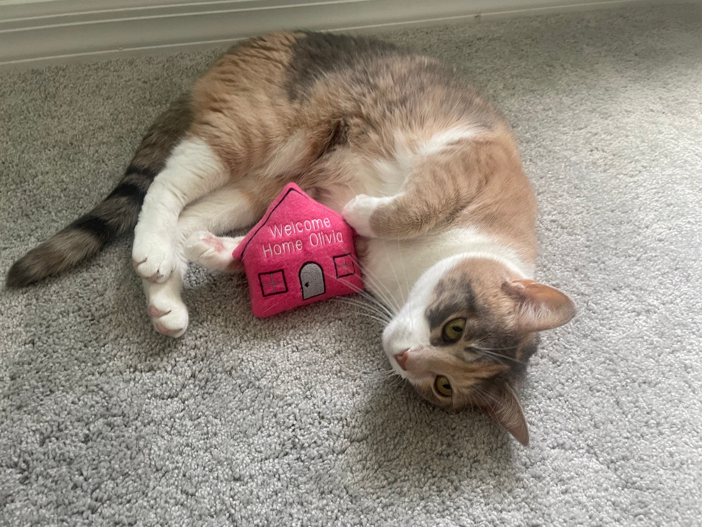 Welcome Home Custom Cat Toy - Personalized Housewarming Gotcha Day Catnip Toy