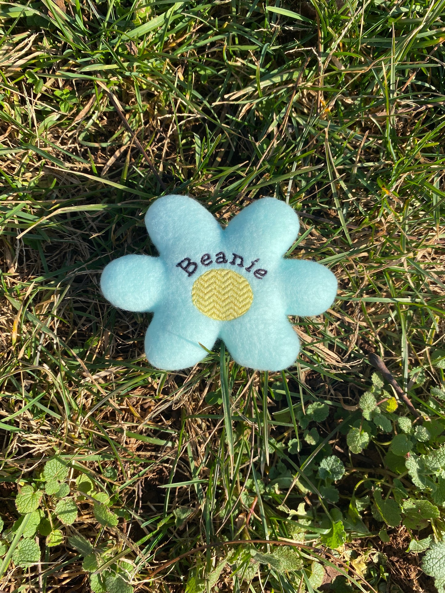 Retro Daisy Custom Cat Toy- Personalized Flower Catnip Toy Cat Toys Name Blue 