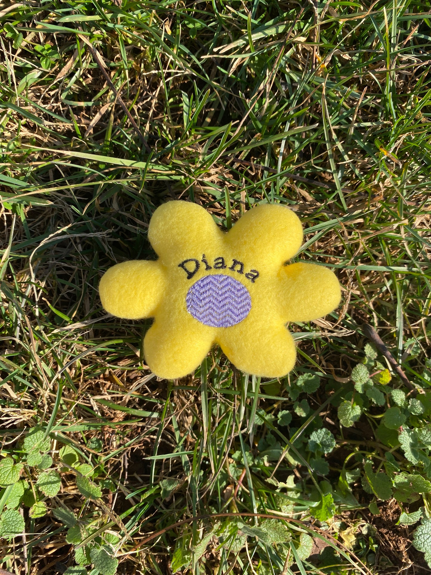 Retro Daisy Custom Cat Toy- Personalized Flower Catnip Toy Cat Toys Name Yellow 
