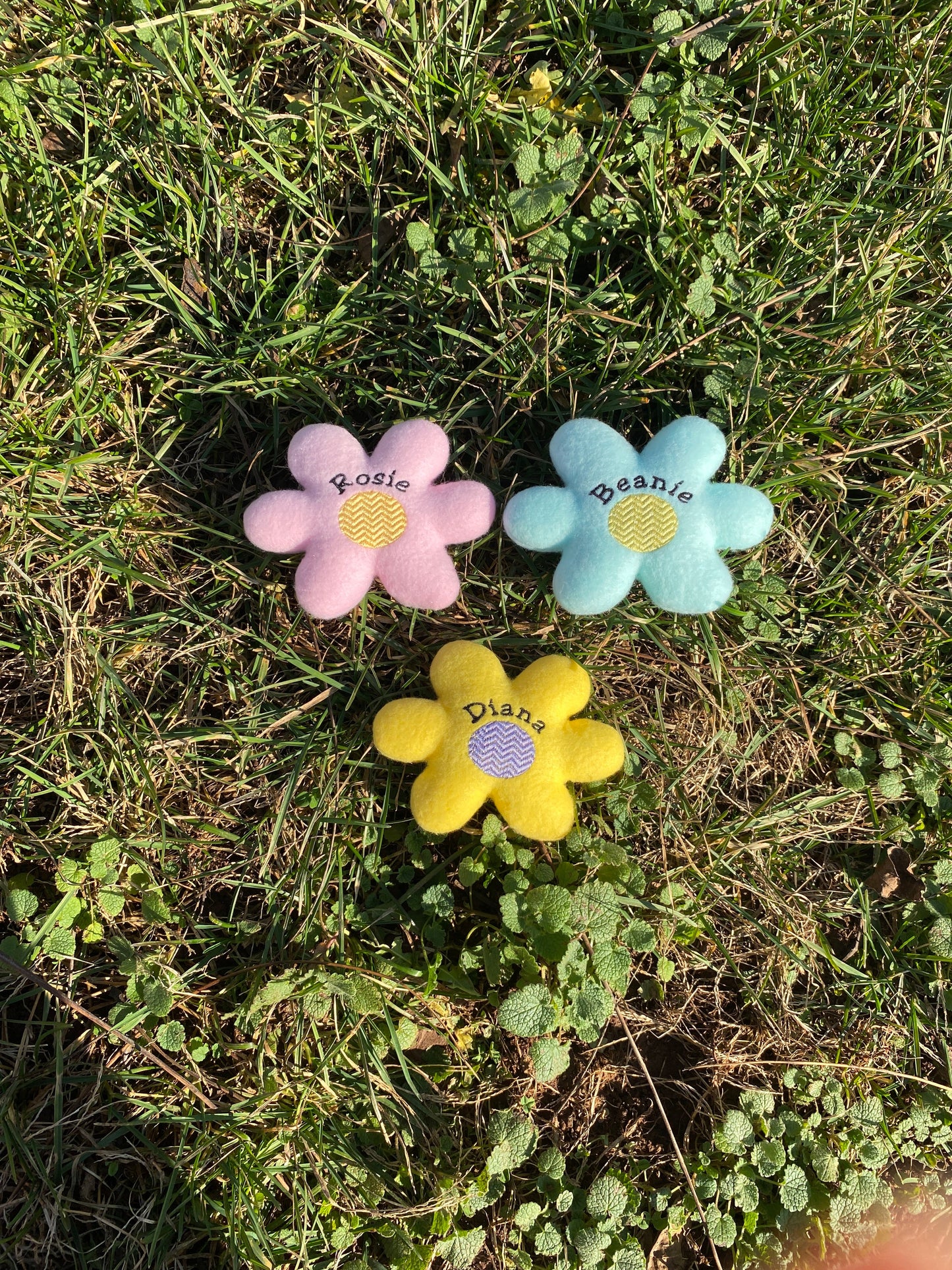 Retro Daisy Custom Dog Toy- Personalized Squeaky Flower Toy Dog Toys Name 3 pack- one of each color 
