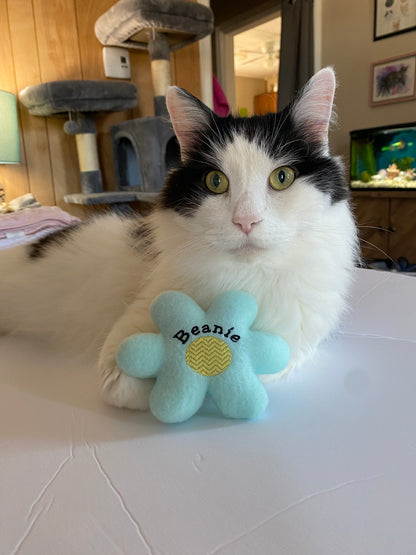 Retro Daisy Custom Cat Toy- Personalized Flower Catnip Toy Cat Toys   