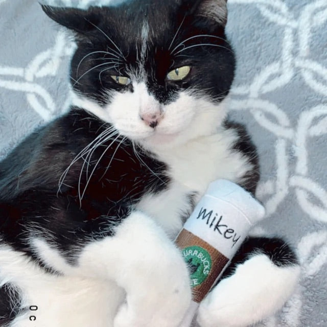 Purrbucks Coffee Personalized Cat Toy - Catnip Handmade Custom Toy