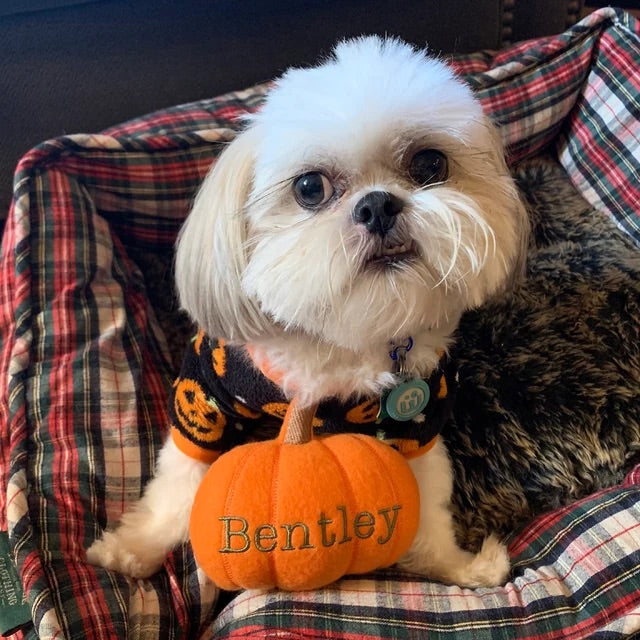 Pumpkin Custom Dog Toy - Halloween Personalized Squeaky Toy