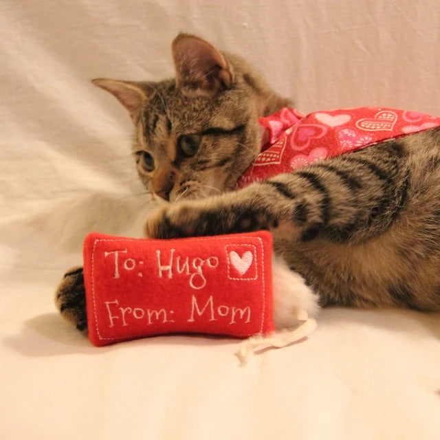 Love Letter Custom Cat Toy - Valentine Personalized Catnip Toy