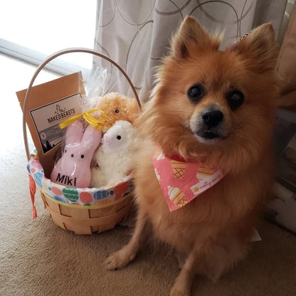 Peep Bunny Personalized Easter Dog Toy- Handmade Custom Dog Toy