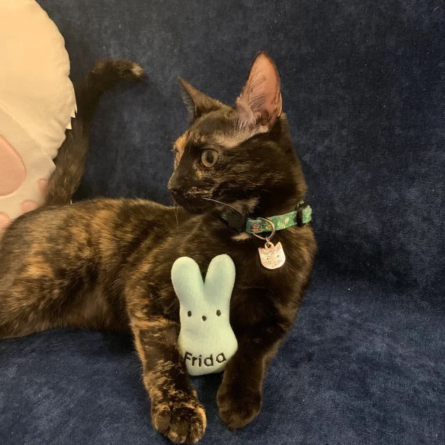 Peep Bunny Custom Cat Toy- Personalized Easter Catnip Toy
