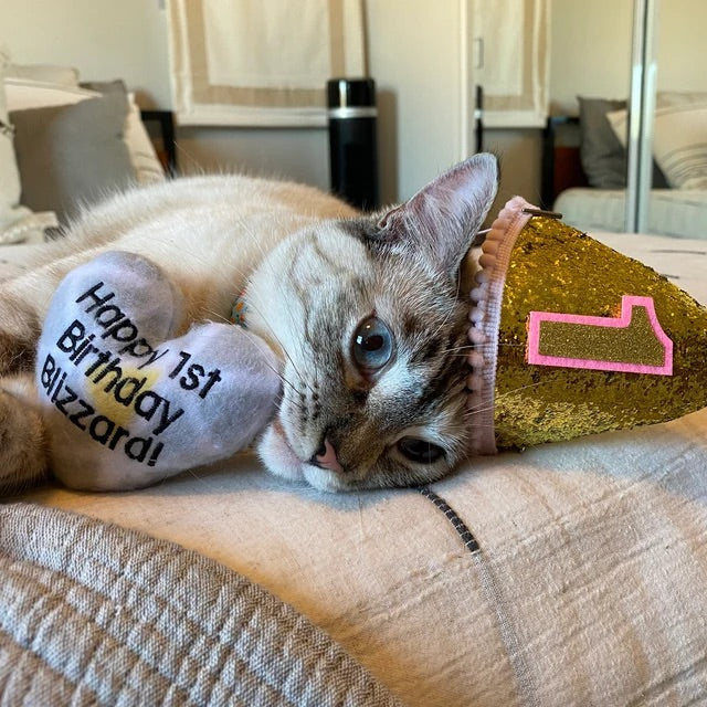 Birthday Heart Custom Cat Toy-  Personalized Gotcha Day Catnip Toy