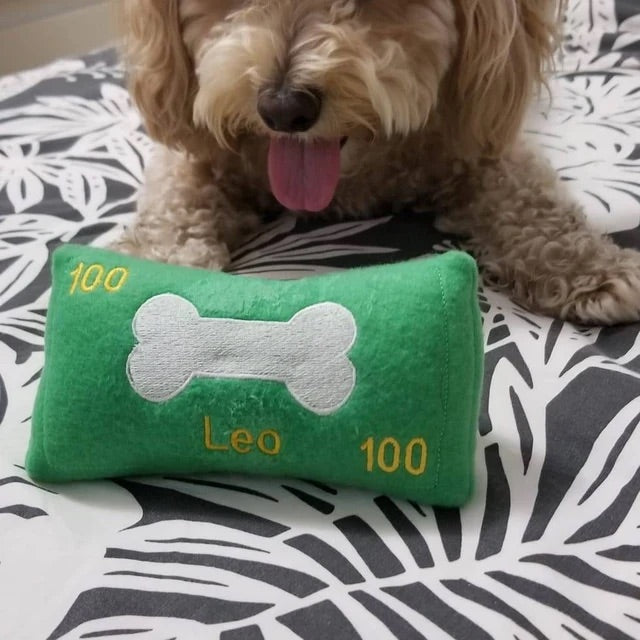 Money Personalized Dog Toy - Handmade Squeaker Custom Dog Toy
