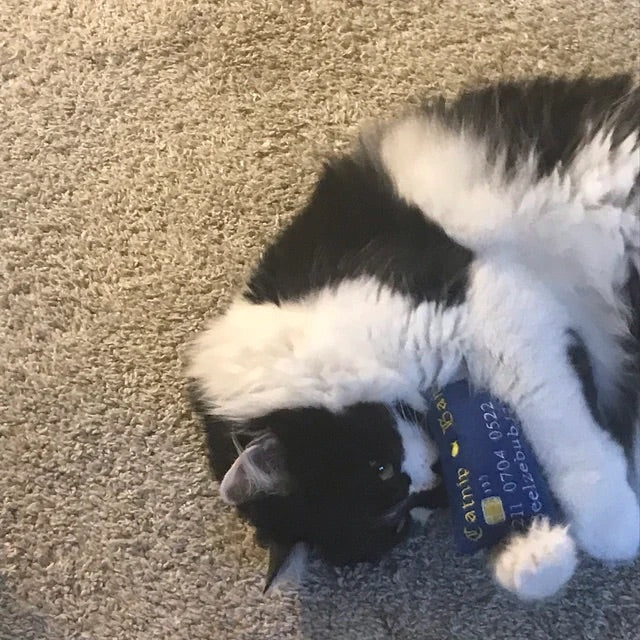Credit Card Personalized Cat Toy- Catnip Handmade Custom Toy