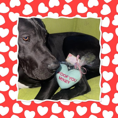 Vegan Personalized Get Well Soon Heart Dog Toy » Pampered Paw Gifts