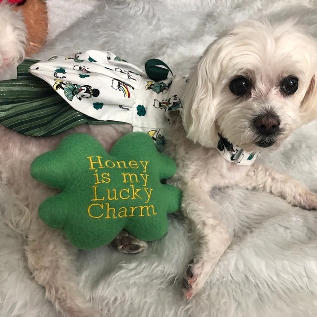 Shamrock Custom Dog Toy Personalized St Patty s Day Squeaky Toy