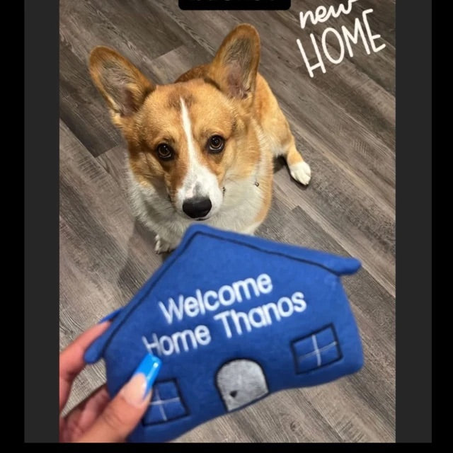 Welcome Home Custom Dog Toy Personalized Housewarming Gotcha Day Squeaky Toy