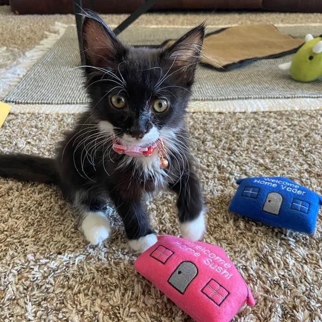 Welcome Home Personalized Cat Toy - Housewarming Custom Gotcha Day Catnip Toy