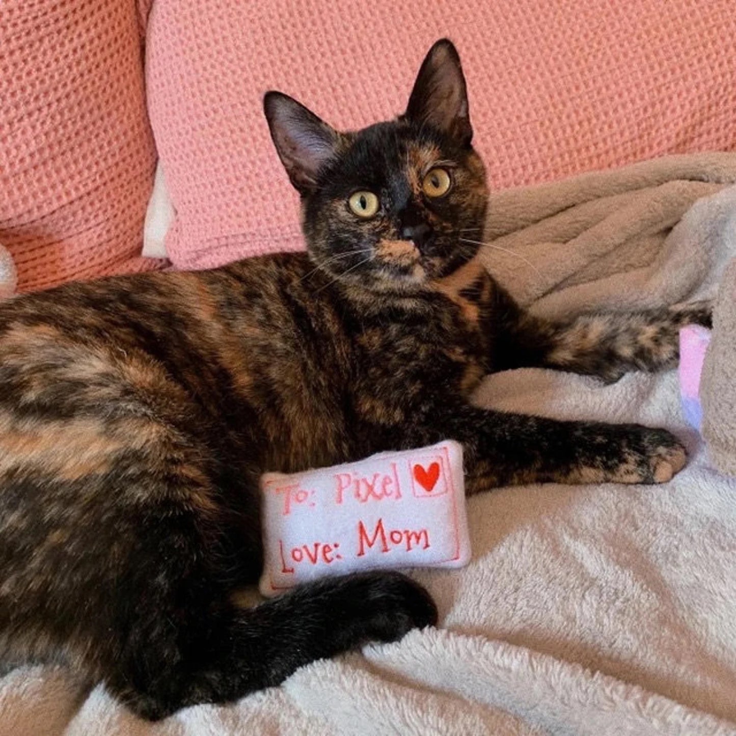 Love Letter Custom Cat Toy - Valentine Personalized Catnip Toy
