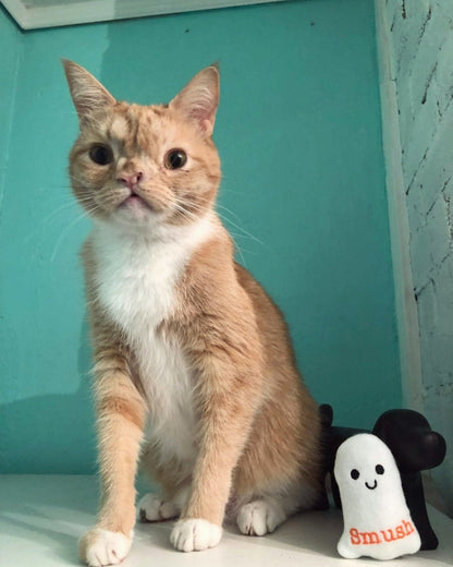 Ghost Halloween Personalized Cat Toy - Catnip Handmade Custom Toy
