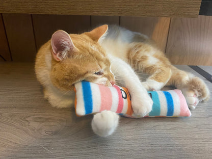 Rainbow Geometric Custom Kicker Cat Toy - Personalized Catnip Toy