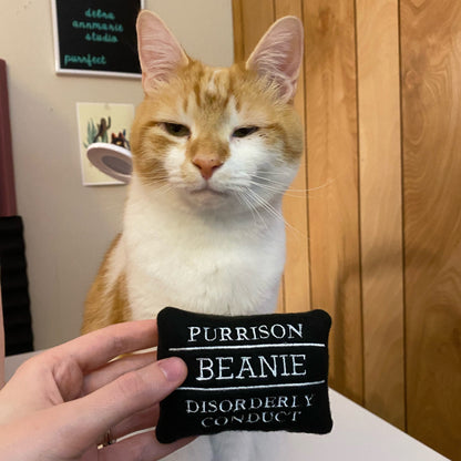 Prison Name Board Custom Cat Toy - Personalized Catnip Toy