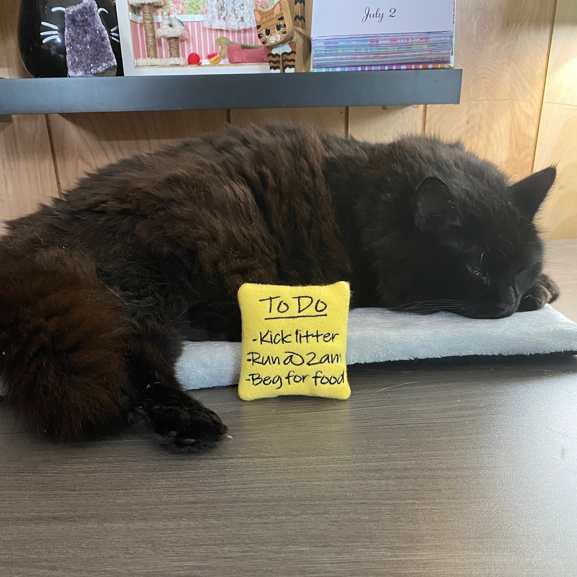 Sticky Note Custom Cat Toy - Personalized To Do List Catnip Toy Cat Toys   