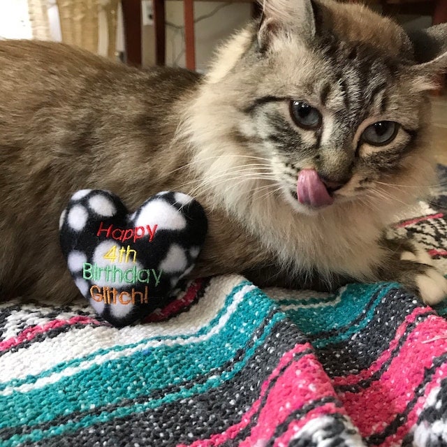 Birthday Heart Custom Cat Toy-  Personalized Gotcha Day Catnip Toy