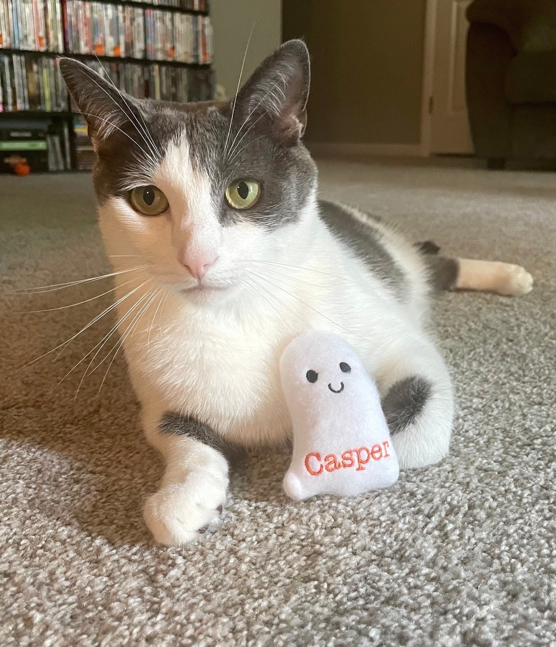 Ghost Halloween Personalized Cat Toy - Catnip Handmade Custom Toy