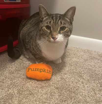 Pumpkin Custom Cat Toy - Halloween Personalized Catnip Toy Cat Toys   