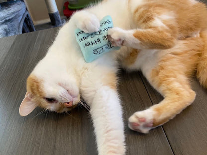 Sticky Note Personalized Cat Toy - Catnip Handmade Custom To Do List Toy