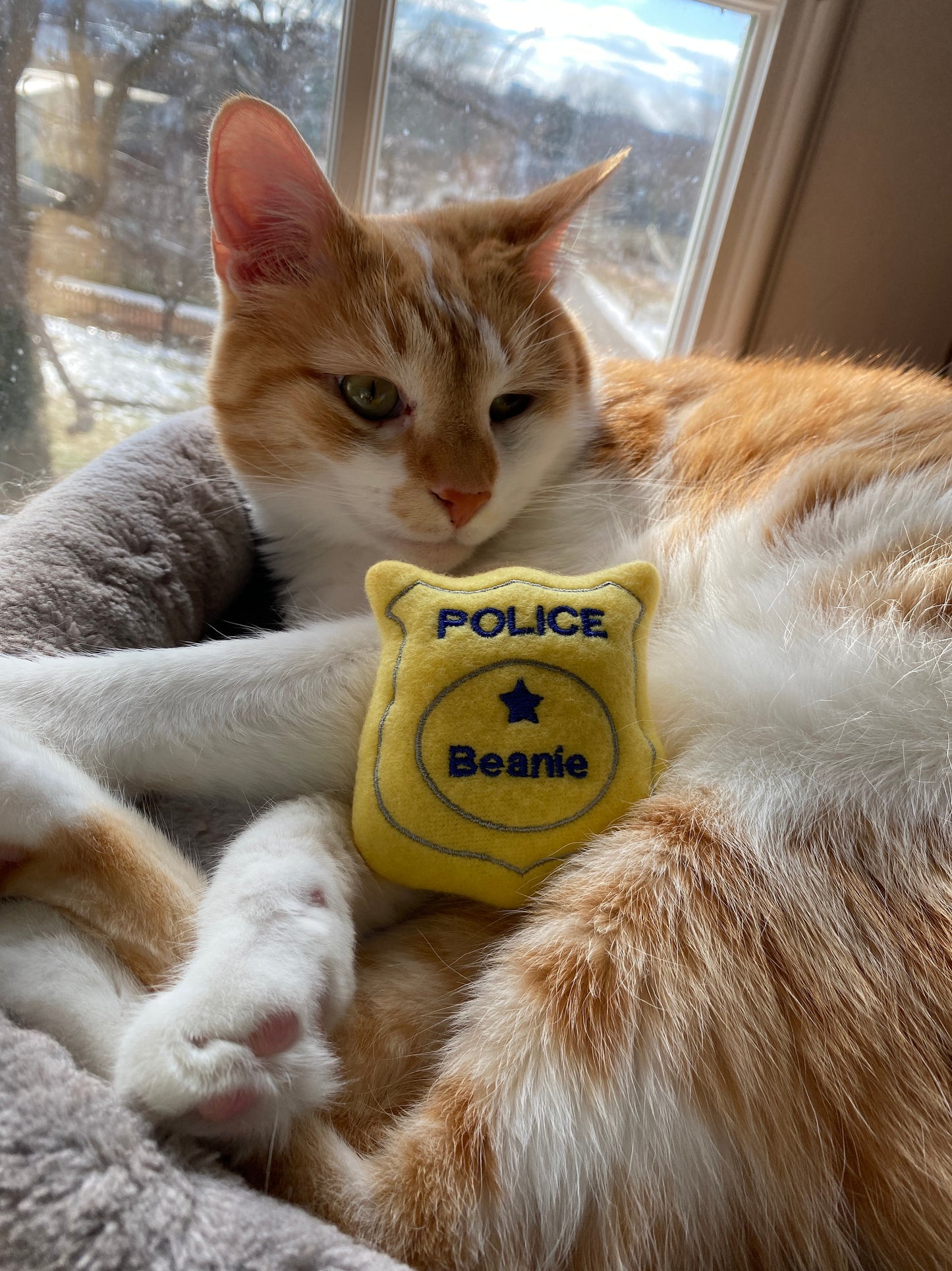 Police Badge Custom Cat Toy - Personalized Catnip Toy Cat Toys   