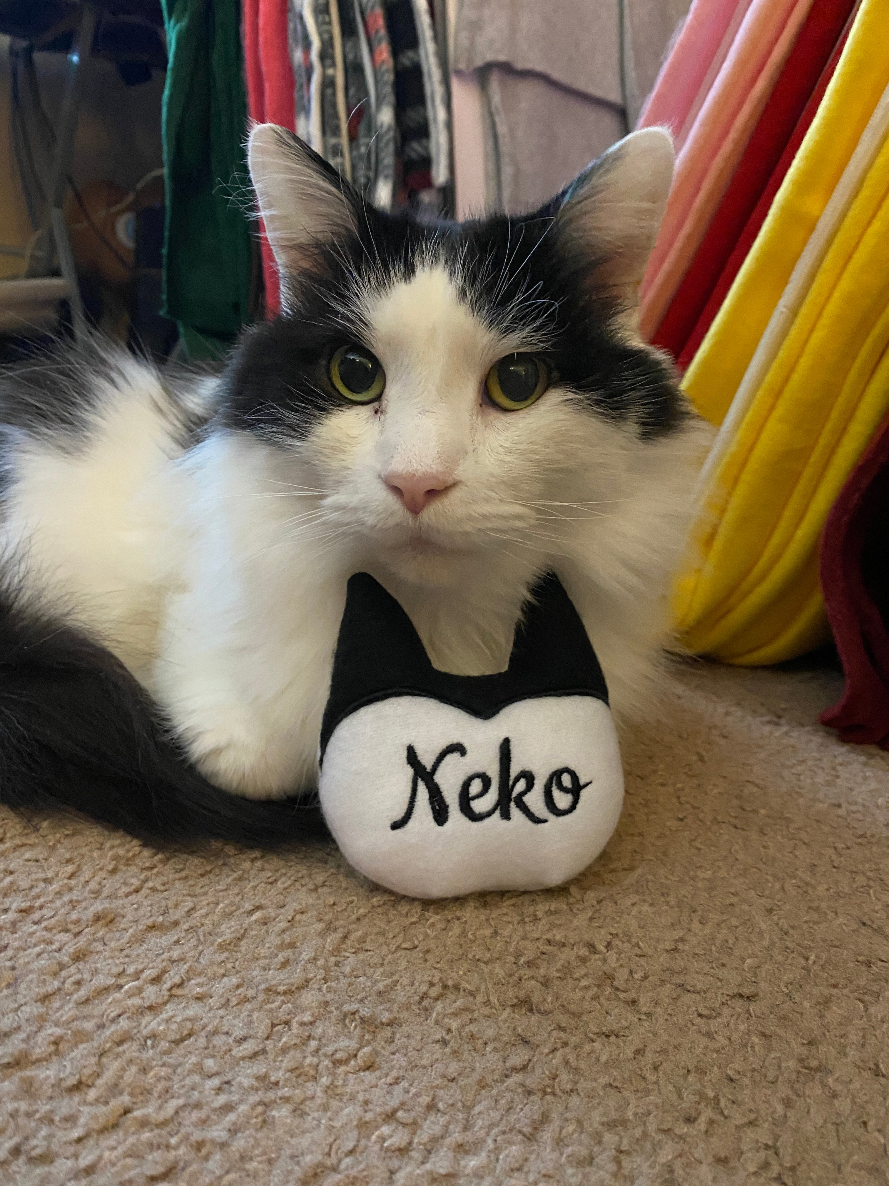 Personalised sales cat toys